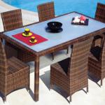 PLASTIC RATTAN FURNITURE/ WICKER/ TCC-P52-