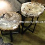 petrified wood end table