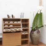 Flip down Shoe rack Shoe cabinet