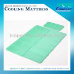 Plain Bed Cooling Mattress , FREE SAMPEL, single/double/king size compare gel mattress keep cool,phase change material(PCM)