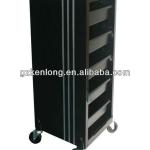 2013 Excellent quality new design hairdressing carry cases KL-A23