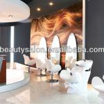 2013 Fashion design salon furniture set (shampoo bed &amp; barber chair )SC-082,LC-036 SC-082 / LC-036