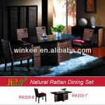 2014 Hot Sale Modern Rattan Dining Furniture RA333-7