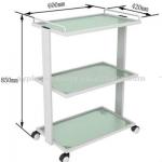 2014 Hot sell beauty trolley AYJ-Y1201 AYJ-Y1201