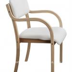 Bent wood Dining Chair TB-1061