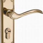 Best quality-Brass Handle Lock-HS58002 PVD HS58002 PVD