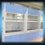 Biosafety cabinet / Laminar air flow / stainless steel fume exhaust hood GIGA-SY00094