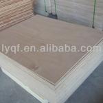 cabinet grade brich plywood/comemercial plywood QF-030