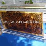 clear acrylic bee hive,bee hive VJS13082302