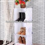 Eco-friendly PP shoes storage rack WKS-09