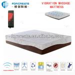 Electric massage mattress medical massage mattress thai massage mattress FC-VM06009 medical massage mattress