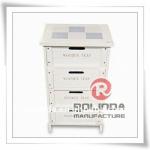 Fashion Design Wooden Storage Cabinet with Drawer RHL-002DC