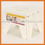 Folding Step Stool 21758