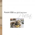 Furniture Top Quality Kitchen Cabinets Puccini Kitchen Set XSF Puccini