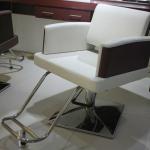 Hair salon styling chairs and equipment with ABS armrest MY-007-73