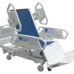 Hospital Furniture of Luxurious Electric Hospital Bed with Eight Functions 1030-1120