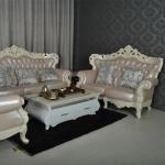 Latest Design Sofa Set Home Furniture 8235 8235