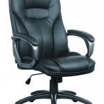 manager chair QY-2291