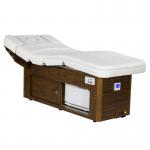 Multifunctional Electric Beauty Bed for Salon D2013-A Beauty Bed