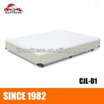 NEW solid wooden bed set with spring divan for sale CJL-01