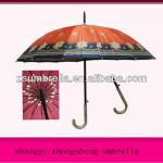 nice umbrella 55cm*16k