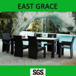 PE rattan/wicker outdoor furniture garden 6persons dinner/coffee chair ZY-15 TZY-ZY-15