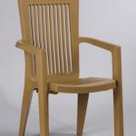 plastic school Chair F-005 LARISA TEAK