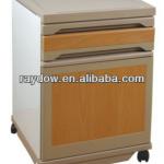 RD-CG1003A ABS Medical Equipment Cabinet RD-CG1003A