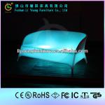 RGB Import Chips Lighting Two Seats Sofa LED LGL55-8011 LGL55-8011