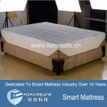 Sleepwell 100% Natural Latex Mattress FC-VM14020 Sleepwell 100% Natural Latex Mattress