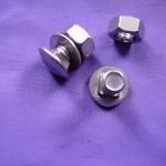 stainless steel carriage bolt