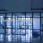 TALAX Professional Glass Office Partition 06 tlxgd