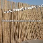 TAM VONG BAMBOO POLE GD-029