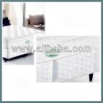 Therapeutic Mattress with 15 stations herbal