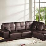 Violet Sectional J101