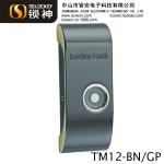 Zinc alloy TM1990A ibutton card electronic keyless armstrong drawer lock(TM12) TM12